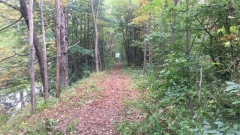 Concord Lake Sunapee Rail Trail Work