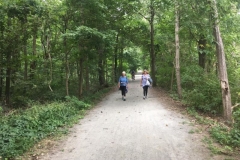 concord-lake-sunapee-rail-trail-work5