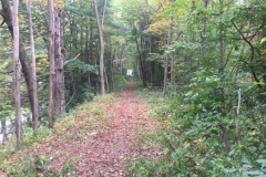 concord-lake-sunapee-rail-trail-work6